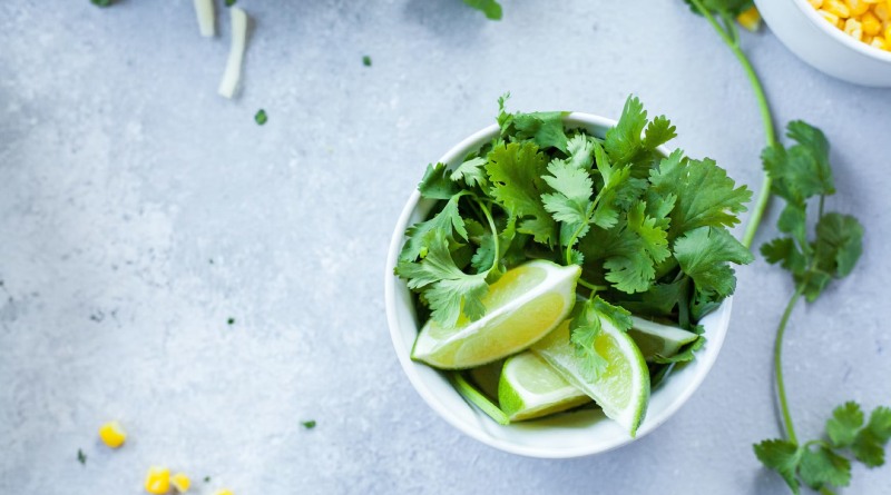 Cilantro