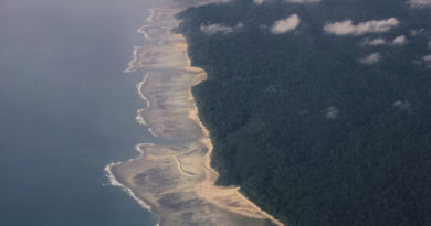Isla Sentinel del Norte: dónde está, quién vive allí y por qué está prohibido visitarla Isla Sentinel del Norte